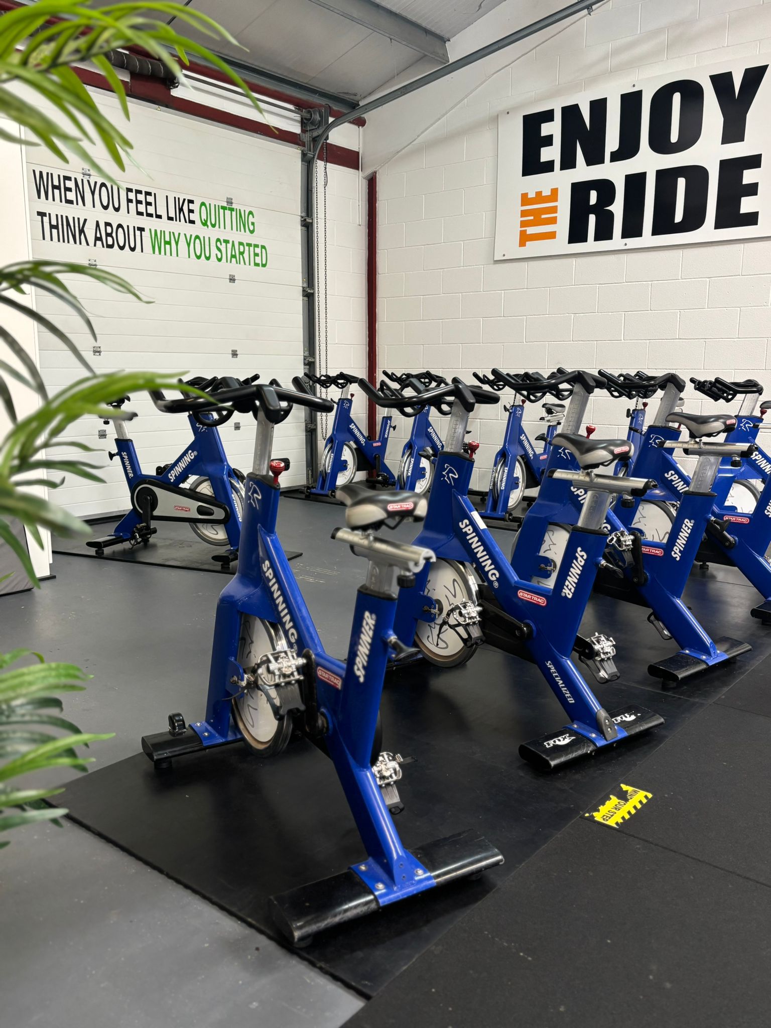 Spin Circuits With Nikki